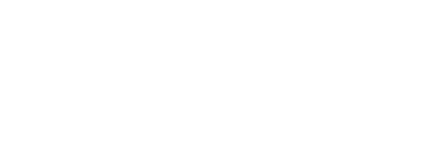 WordPress - Website & Content