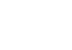 Salesforce Partner